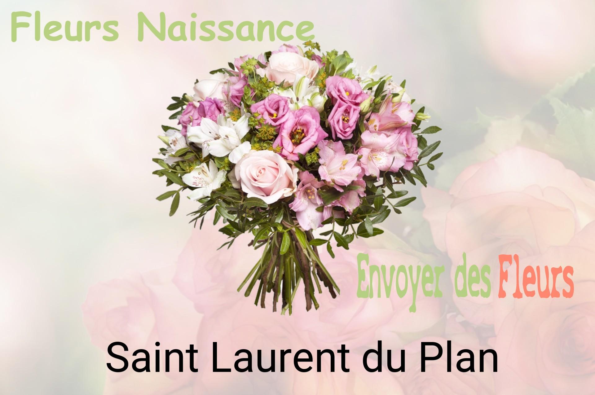 Bouquet de fleurs de naissance livré à Saint-Laurent-du-Plan